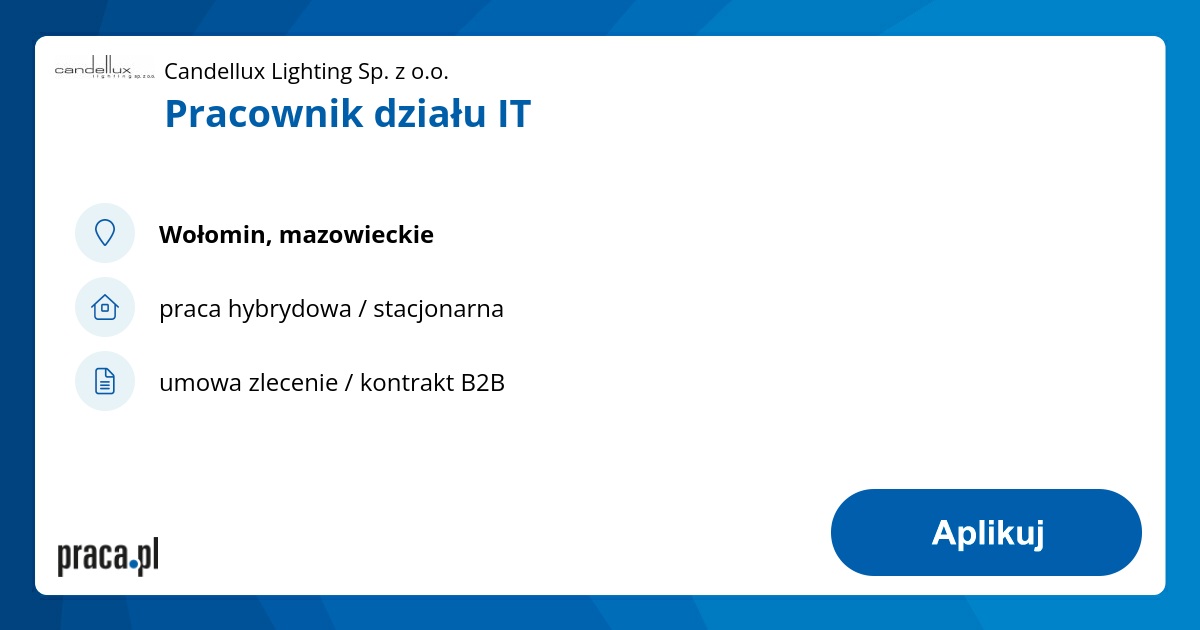 Pracownik działu IT